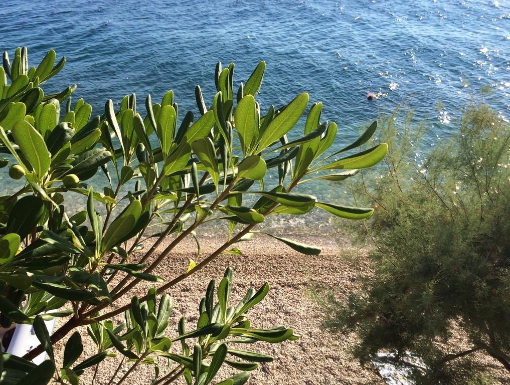Holiday Home Mala Duba Živogošće Værelse billede